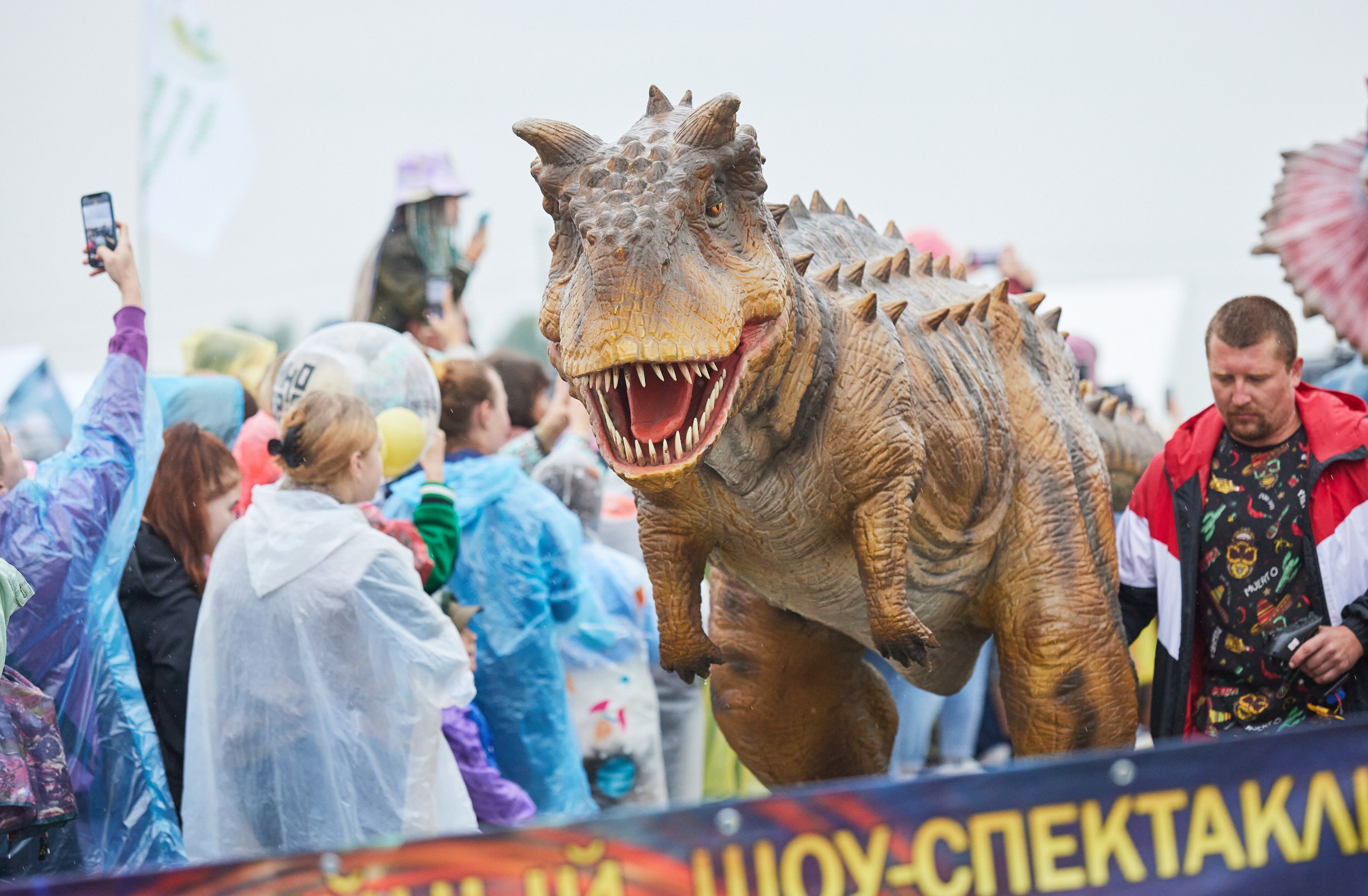 ��������� ������������ �� ���������� � 2025