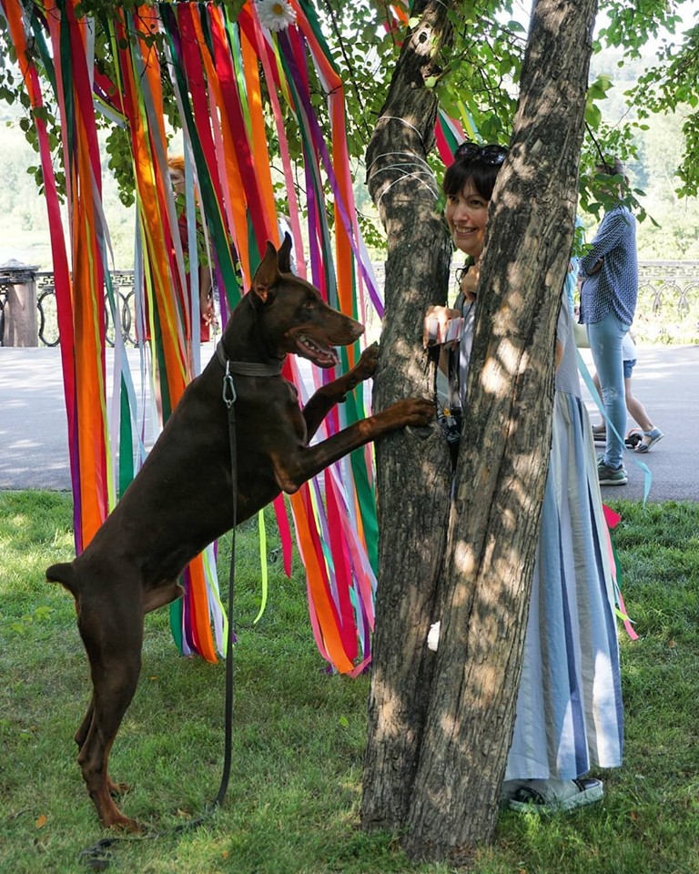 �� �������� - "��� ������", ��������� � ���� ����, "������ ����" � �������� �� ��������!